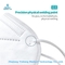 4 Schicht-Wegwerfgesichtsmasken für Schwarz-Weiß des Dunst-N95 Kn95-A mit Nackenband mit Halterung